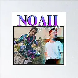Noah Schnapp Retro Vintage T-Shirt Sticker Design Stranger Things Poster