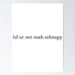 lol you not Noah Schnapp Poster