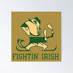 Notre Dame Poster