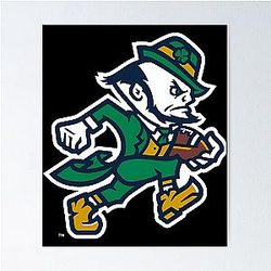 Notre Dame Poster