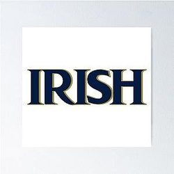 Notre Dame Poster