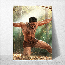 Screen Heartthrob NT Rama Rao Jr Posters