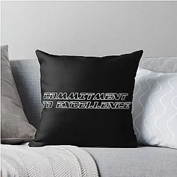 Raiders Fan Art Throw Pillow