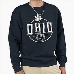 Ohio The Buckeye State Established 1803 Stylish Art OH Pride Sweatshirt