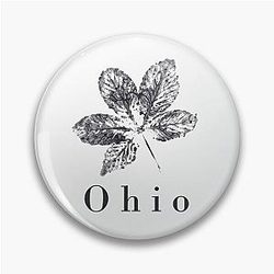 Ohio Buckeye Pin