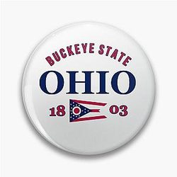 Ohio State Flag Pin