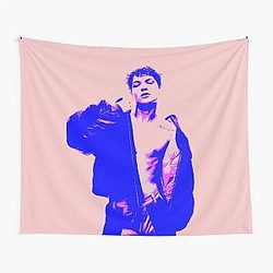 Omar Rudberg Pink Tapestry