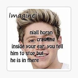 Imagine Niall Horan crawling in your ear 1D sticker