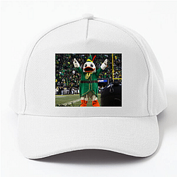 Oregon Ducks Collection for fans Oregon Ducks Hats & Caps