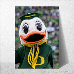 Oregon Ducks Merchandise For Fans Oregon Ducks Posters
