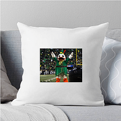 Oregon Ducks Collection for fans Oregon Ducks Pillows Cover