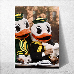 Oregon Ducks Fan Art Oregon Ducks Posters