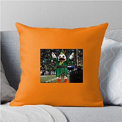 Oregon Ducks Collection for fans Oregon Ducks Pillows Cover