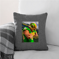 Oregon Ducks Limited Collection Oregon Ducks Pillows Cover