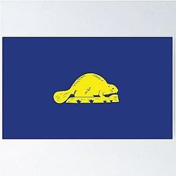 Flag of Oregon Poster