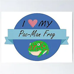 I Love My Pacman Frog Poster