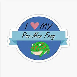 I Love My Pacman Frog Sticker