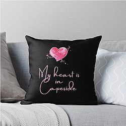 Dawson's Creek Capside Pacey Witter Throw Pillow