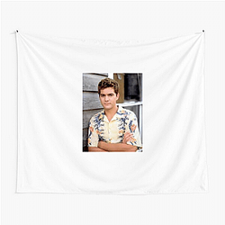Pacey Witter Merch Collection Pacey Witter Tapestries