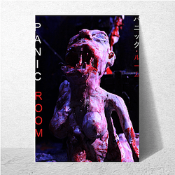 Panic Room focuses on a safe room Panic Room Posters