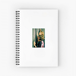 Panic Room was a box office success Panic Room Notebook