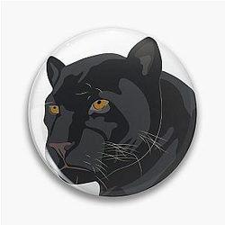 PANTERA Pin