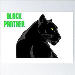 Pantera Negra Poster
