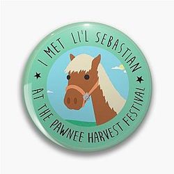 Parks and Recreation Pin