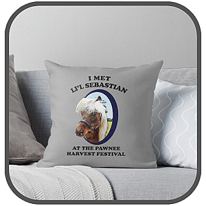 Parks And Recreation Pillows Cover