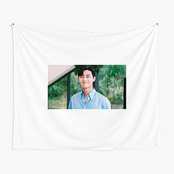 Park Seo-joon Merch Park Seo Joon Tapestries