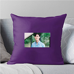 Park Seo-joon Merch Park Seo Joon Pillows Cover