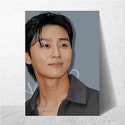 Park Seo-joon Merchandise Park Seo Joon Posters