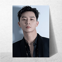 Park Seo-joon Merch For Fans Park Seo Joon Posters