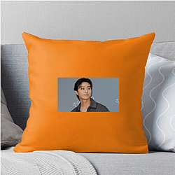 Park Seo-joon Merchandise Park Seo Joon Pillows Cover