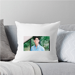 Park Seo-joon Merch Park Seo Joon Pillows Cover