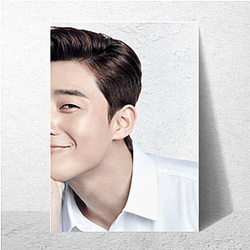 Park Seo-joon Limited Collection Park Seo Joon Posters