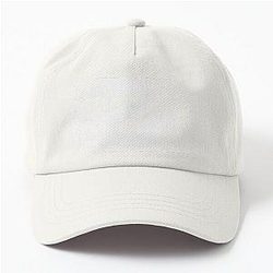 Paymoneywubby Essential Dad Hat