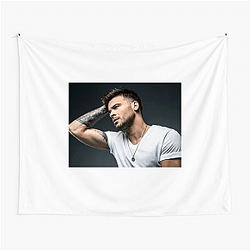 Pedro Capó is Puerto Rican Pedro Capó Tapestries