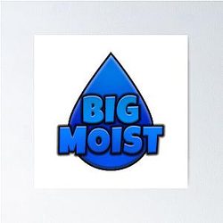 Moistcr1tikal Official Merch Penguinz0 T-Shirts & More Poster