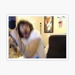 Cr1tikal vs Flying cockroaches sticker