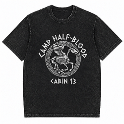 Kabine 13 DTNK2406 Washed Percy Jackson T-Shirts