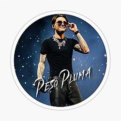 Peso Pluma HI - Def Paint Effect T-Shirt and Sticker