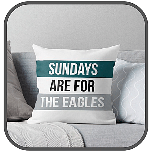 Philadelphia Eagles Pillows Cover