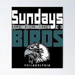 Funny Philadelphia Pro Football Sundays Poster