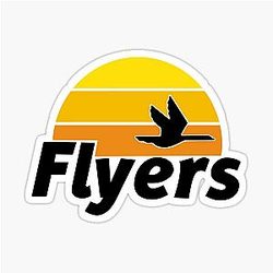Philadelphia Flyers Wawa Sticker
