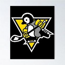Pittsburgh Penguins Poster