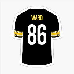 Hines Ward Pittsburgh Steelers Sticker