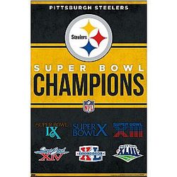 NFL Pittsburgh Steelers Champions 23" x 22.4W Version