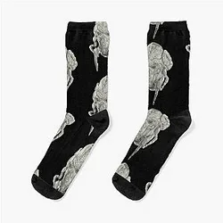 Plo Koon Socks