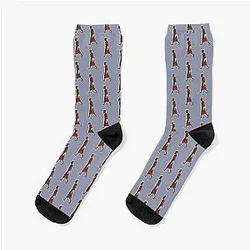 Star Wars Plo Koon Socks